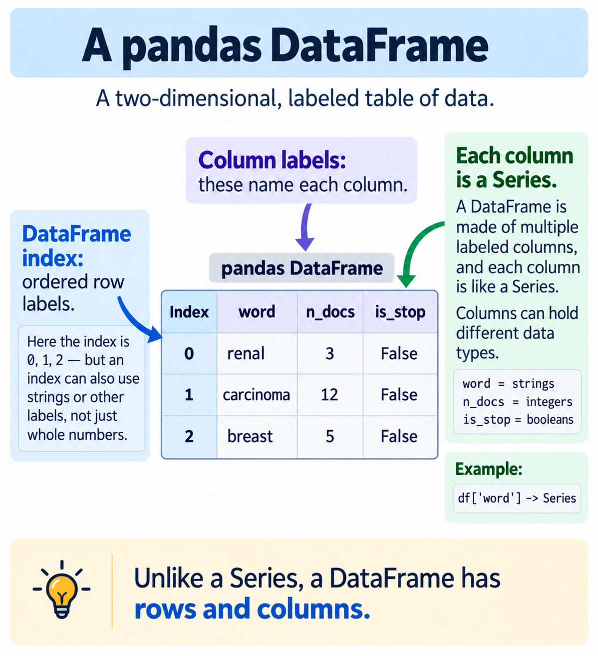 Diagram titled A pandas DataFrame, subtitled a two-dimensional labeled table of data. In the centre a table headed pandas DataFrame has an Index column holding 0, 1 and 2, then three named columns: word, holding renal, carcinoma and breast; n_docs, holding 3, 12 and 5; and is_stop, holding False, False and False. An arrow from the left is labelled DataFrame index, ordered row labels, with a note that the index here is 0, 1, 2 but an index can also use strings or other labels, not just whole numbers. An arrow from above is labelled Column labels, these name each column. An arrow from the right is labelled Each column is a Series: a DataFrame is made of multiple labeled columns, each like a Series, and columns can hold different data types — word is strings, n_docs is integers, is_stop is booleans. An example box shows df of quote word quote giving a Series. A highlighted note at the bottom reads: unlike a Series, a DataFrame has rows and columns.