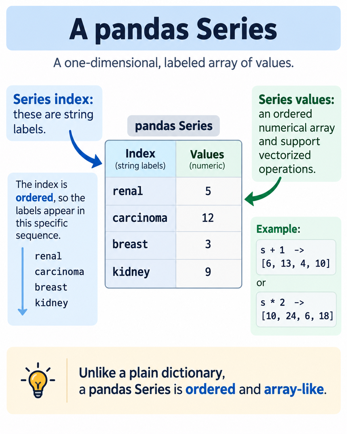 Diagram titled A pandas Series, subtitled a one-dimensional labeled array of values. In the centre a two-column table headed pandas Series: the left column, Index, holds string labels renal, carcinoma, breast and kidney; the right column, Values, holds the numbers 5, 12, 3 and 9. An arrow from the upper left is labelled Series index, these are string labels. A note below it reads: the index is ordered, so the labels appear in this specific sequence, listing renal, carcinoma, breast, kidney down an arrow. An arrow from the upper right is labelled Series values, an ordered numerical array that supports vectorized operations. An example box shows s plus 1 giving 6, 13, 4, 10, and s times 2 giving 10, 24, 6, 18. A highlighted note at the bottom reads: unlike a plain dictionary, a pandas Series is ordered and array-like.